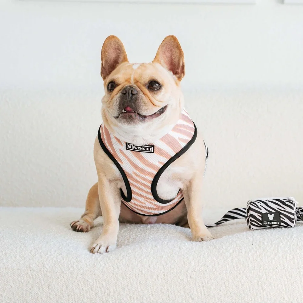Frenchie Bulldog Duo Reversable Zebra Dog Harness/Leash/Bag Holder/Collar Set